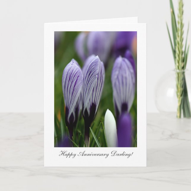 Tarjeta Crocus Variados - Feliz Aniversario Querido (Anverso)