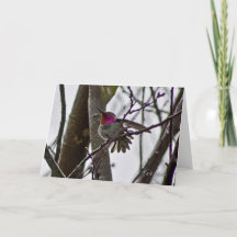Crow Hummer Card