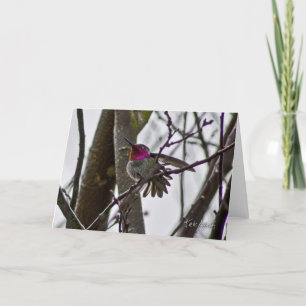 Tarjeta Crow Hummer Card