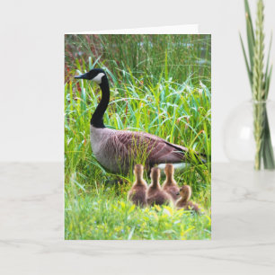 Tarjeta Cruce de Geese