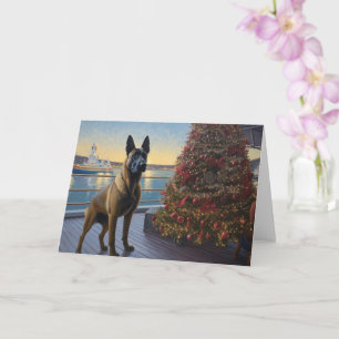 Tarjeta Crucero de Navidad con Malinoi Belga: Vacaciones D