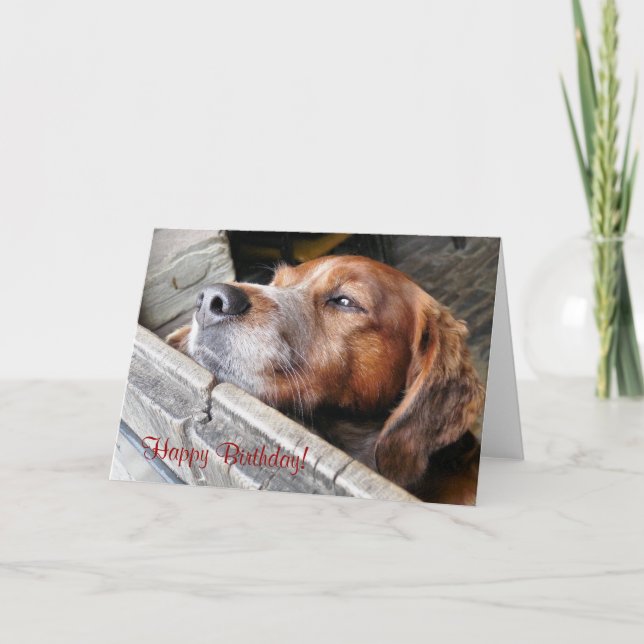 TARJETA CUADRAR PERRO (Anverso)