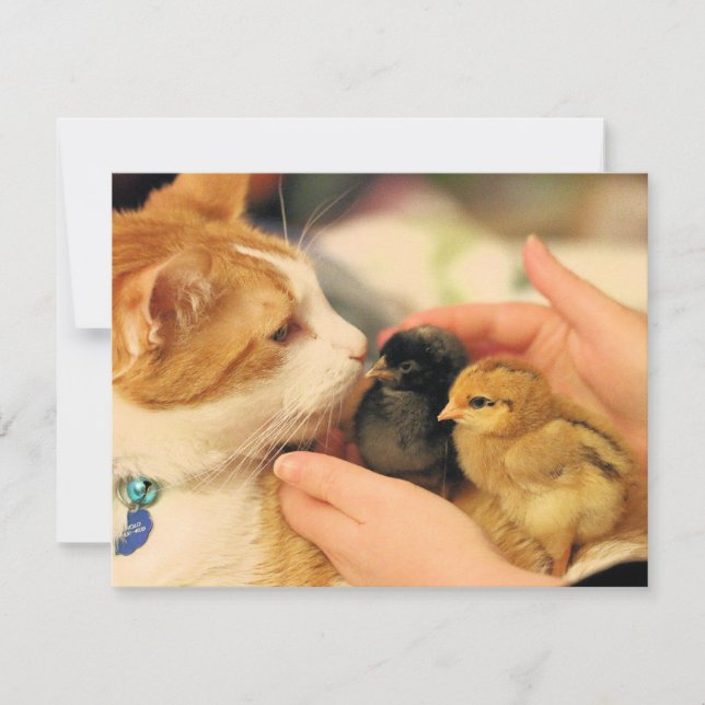 Tarjeta Cuadros (Anverso)