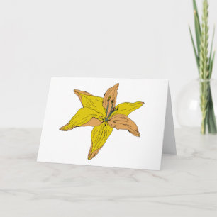 Tarjeta Cuadros de jardín de flores de Lily