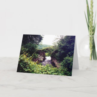 Tarjeta Cuál está a continuación (la tarjeta)