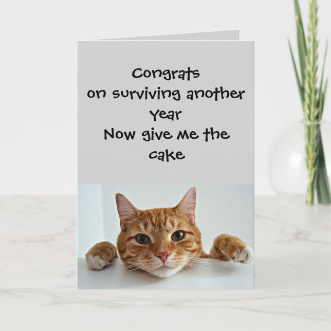 Tarjeta Cuando al gato le importa.. Solo un poco –Cumpleañ (Anverso)