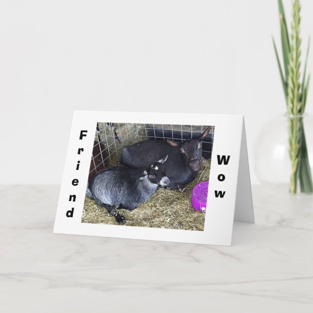 TARJETA ¿CUÁNTO ANCIO ESTÁS DICIENDO QUE ERES AMIGO DE EST (Anverso)