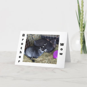 TARJETA ¿CUÁNTO DE EDAD ESTÁS DICIENDO QUE ERES HERMANO DE