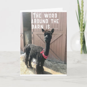 TARJETA ¿¿¿CUARENTA CUMPLEAÑOS?? SÓLO NO PUEDE CREER QUE L