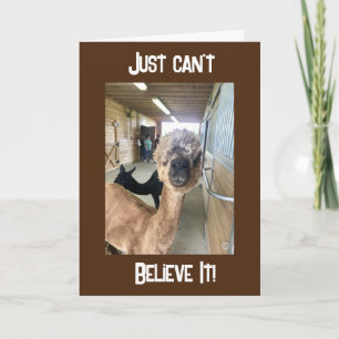 TARJETA ¿¿¿CUARENTA CUMPLEAÑOS?? SÓLO NO PUEDE CREER QUE L