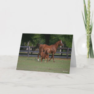 Tarjeta Cuartos de caballo y miniaturas juntos