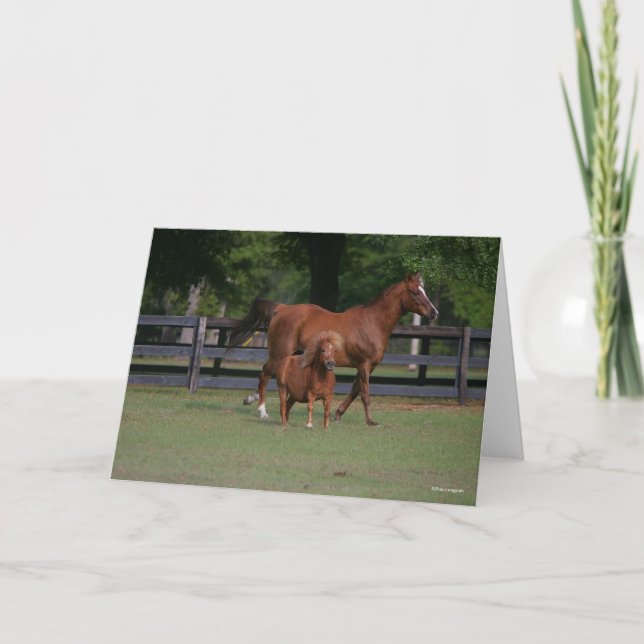 Tarjeta Cuartos de caballo y miniaturas juntos (Anverso)