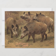 Cuatro Boars en un paisaje francés (por Rosa Bonhe