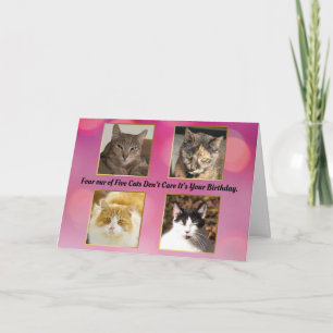 Tarjeta Cuatro de cada cinco gatos no les importa el cumpl