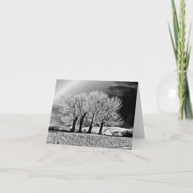 Tarjeta Cuatro hermanas (Anverso)