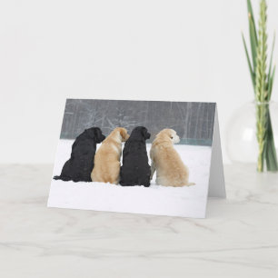 Tarjeta Cuatro Perros Labradores En Nieve