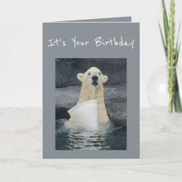 Tarjeta Cubo del oso polar del cumpleaños de humor de la