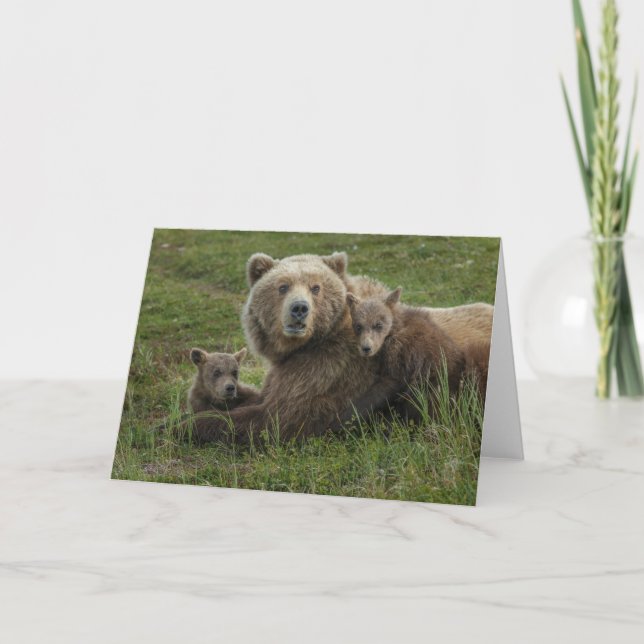Tarjeta Cubos de oso marrón acurrucados con su madre (Anverso)