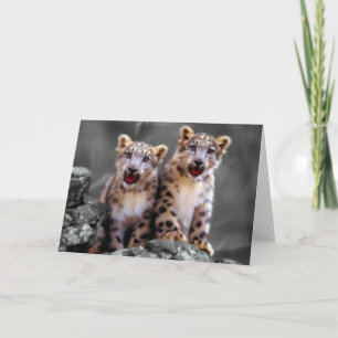 Tarjeta Cubs de leopardo de la nieve