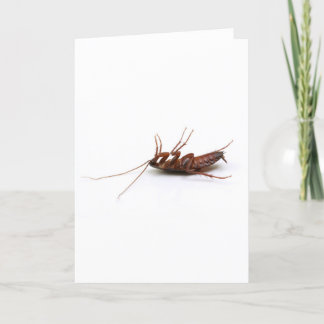 Tarjeta Cucaracha muerta