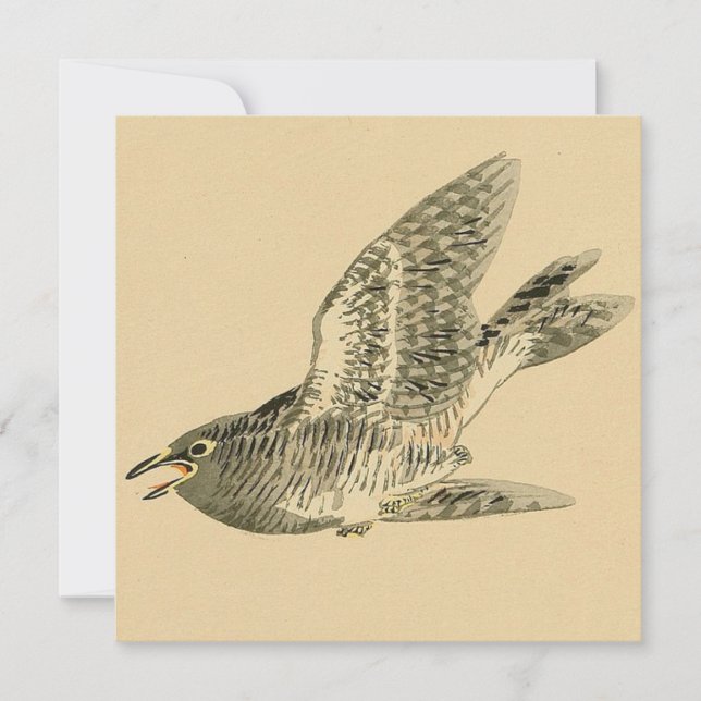 Tarjeta Cuckoo (arte japonés) (de Kono Bairei) (Anverso)