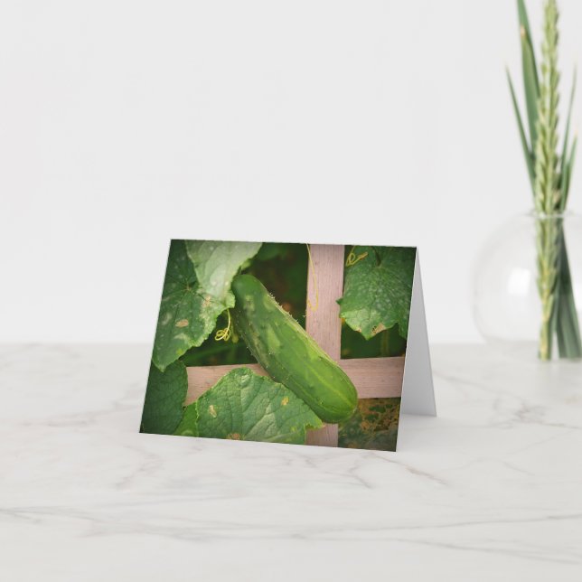 Tarjeta Cucumber Notecard (Anverso)
