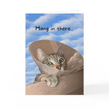 Cuelga ahí el gato en Cone Funny se pone bien