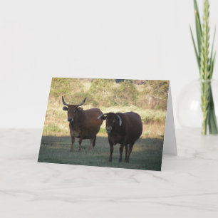 Tarjeta cuernos de vaca - sácate bien