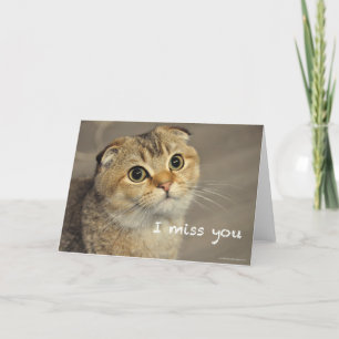 Tarjeta Cuidada escotilla de gato doble miss you card