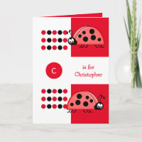 Cuidados pájaros ladybirds niños negros rojos cump