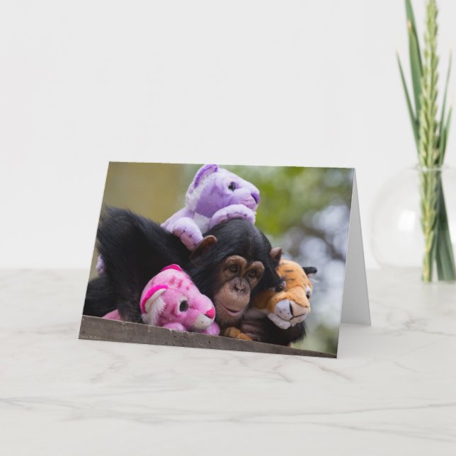 Tarjeta Cuidadosamente chimpancé y amigos animales (Anverso)