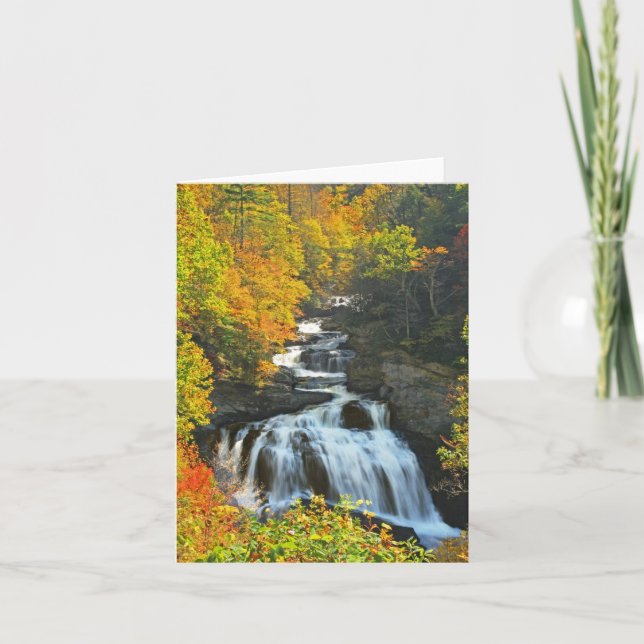 Tarjeta Cullasaja (Anverso)