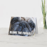 ¡CULPA AL FURBALL! | ALERGIA MEME