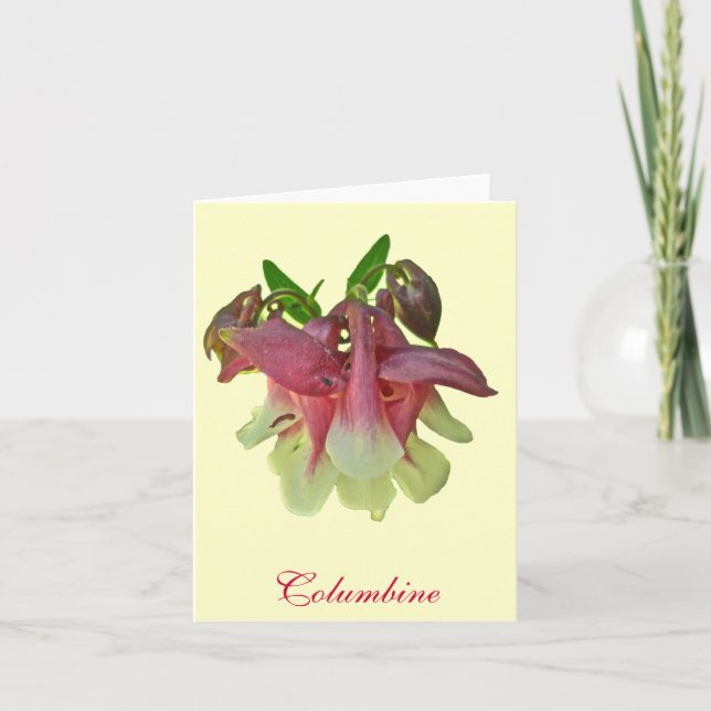 Tarjeta Cultivated Columbine Note Card (Anverso)