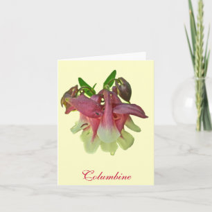 Tarjeta Cultivated Columbine Note Card