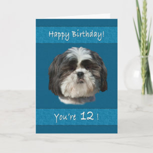Tarjeta Cumpleaños 12, Perro Shih Tzu