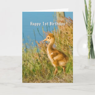 Tarjeta Cumpleaños, 1r, grúa de Sandhill del bebé