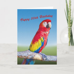 Tarjeta Cumpleaños 50, Macaw Parrot