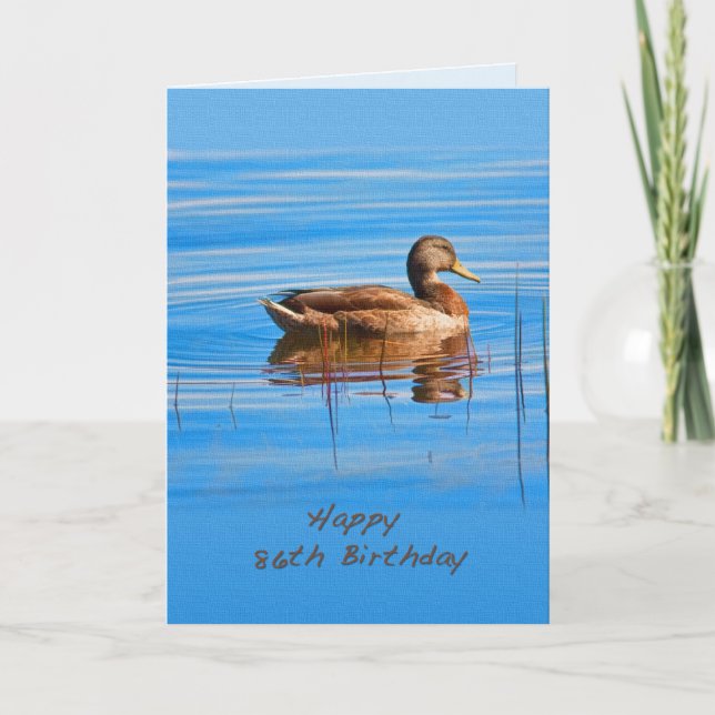 Tarjeta Cumpleaños 86, Pato Mallard (Anverso)