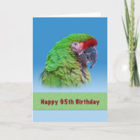 Cumpleaños 95, Loro Verde
