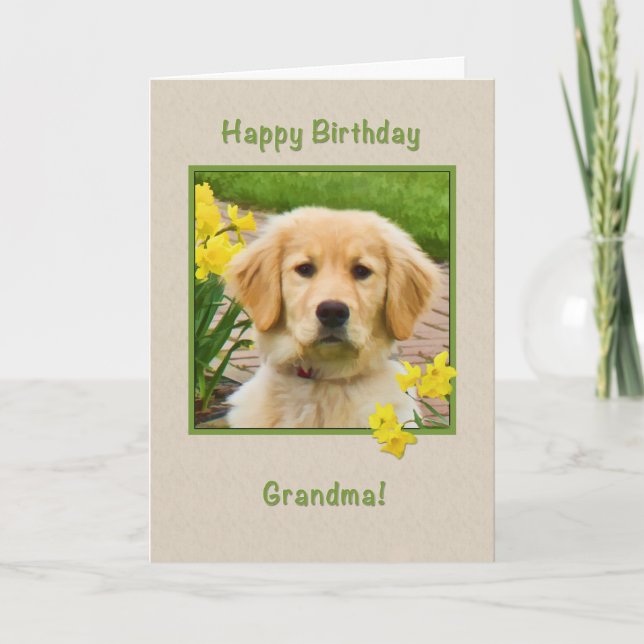 Tarjeta Cumpleaños, Abuela, Perro recuperador de oro, Daff (Anverso)