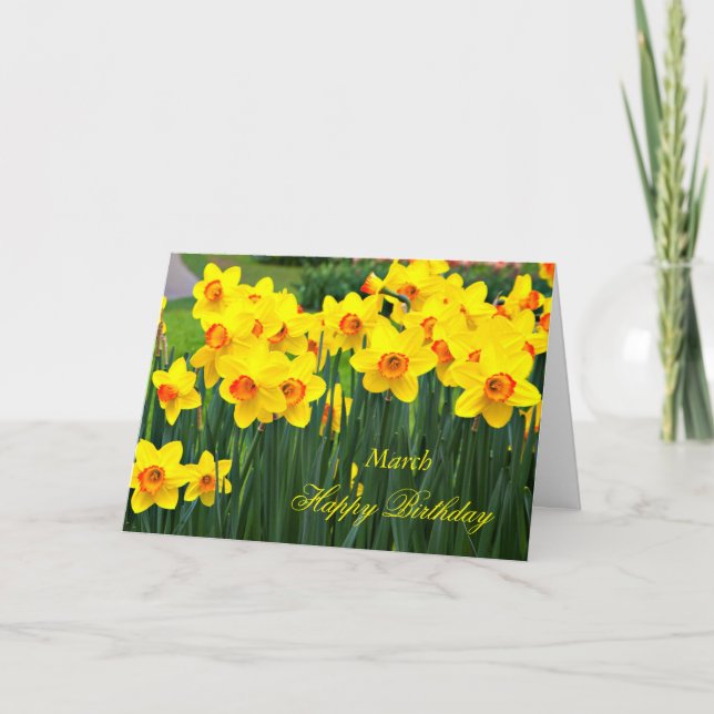 Tarjeta Cumpleaños amarillo imponente de los narcisos de (Anverso)