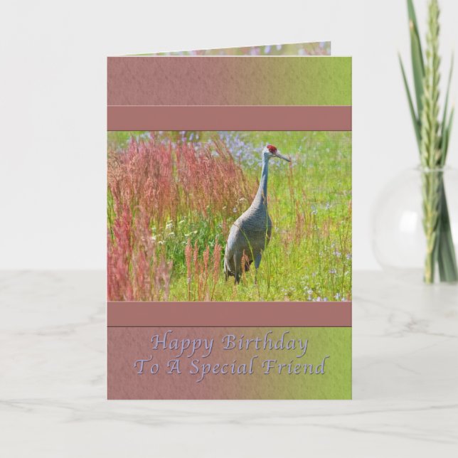 Tarjeta Cumpleaños, Amigo, Ave de Sandhill Crane (Anverso)