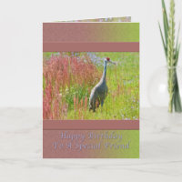 Cumpleaños, Amigo, Ave de Sandhill Crane
