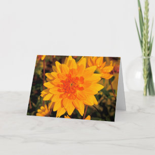 Tarjeta Cumpleaños anaranjado brillante de la flor