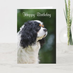 Tarjetas De Cumpleanos Rey Verticales Zazzle Es