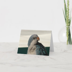 Tarjeta Cumpleaños Birdie