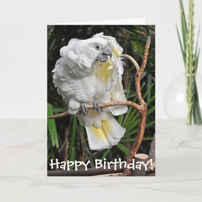 Tarjeta Cumpleaños blanco lindo del cockatiel (Anverso)