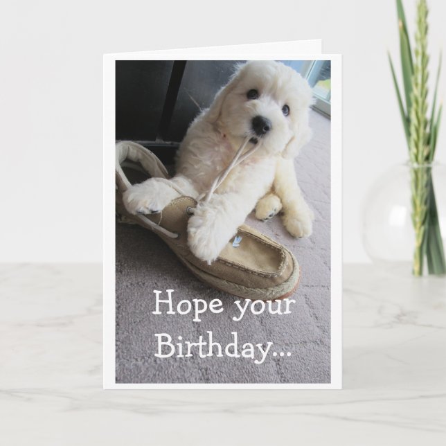 Tarjeta Cumpleaños cálido y difuso, Humor pequeño de golde (Anverso)