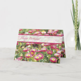 Tarjeta Cumpleaños, Campo de Flor Rosa
